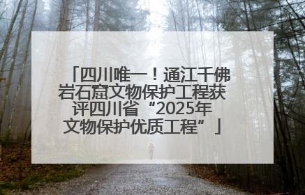 四川唯一！通江千佛岩石窟文物保护工程获评四川省“2025年文物保护优质工程”