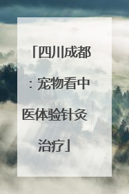 四川成都：宠物看中医体验针灸治疗