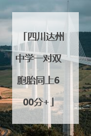 四川达州中学一对双胞胎同上600分+