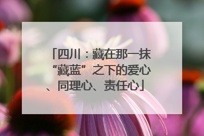 四川：藏在那一抹“藏蓝”之下的爱心、同理心、责任心