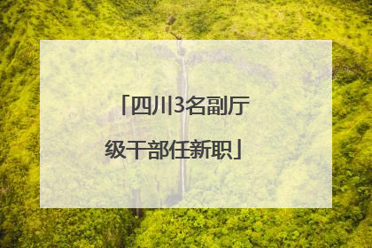 四川3名副厅级干部任新职