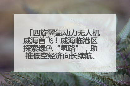 四旋翼氢动力无人机威海首飞！威海临港区探索绿色“氢路”，助推低空经济向长续航、大载重“进化”