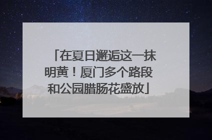 在夏日邂逅这一抹明黄！厦门多个路段和公园腊肠花盛放