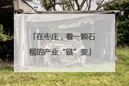 在枣庄，看一颗石榴的产业“链”变