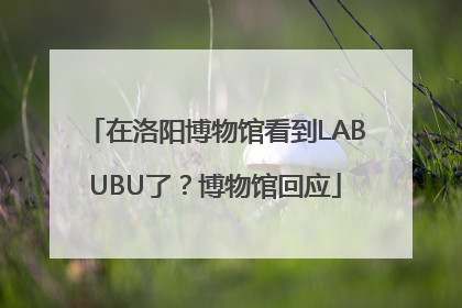 在洛阳博物馆看到LABUBU了？博物馆回应