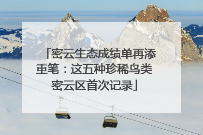 密云生态成绩单再添重笔：这五种珍稀鸟类密云区首次记录
