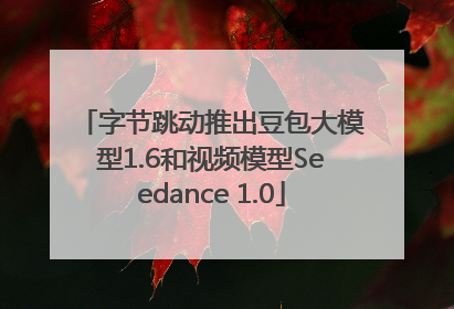 字节跳动推出豆包大模型1.6和视频模型Seedance 1.0