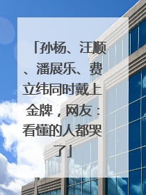 孙杨、汪顺、潘展乐、费立纬同时戴上金牌，网友：看懂的人都哭了