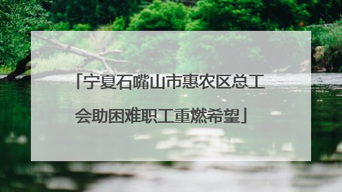 宁夏石嘴山市惠农区总工会助困难职工重燃希望