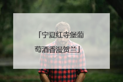 宁夏红寺堡葡萄酒香漫贺兰