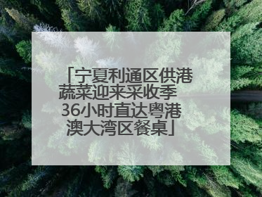 宁夏利通区供港蔬菜迎来采收季 36小时直达粤港澳大湾区餐桌