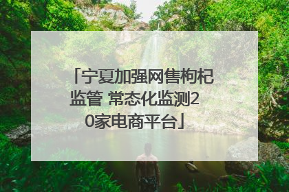 宁夏加强网售枸杞监管 常态化监测20家电商平台
