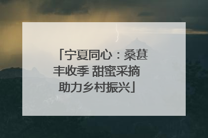 宁夏同心：桑葚丰收季 甜蜜采摘助力乡村振兴