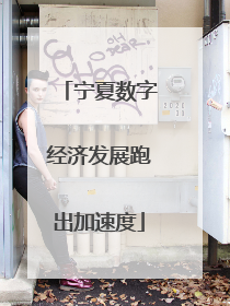 宁夏数字经济发展跑出加速度