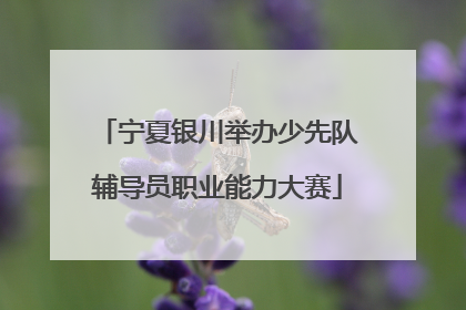 宁夏银川举办少先队辅导员职业能力大赛
