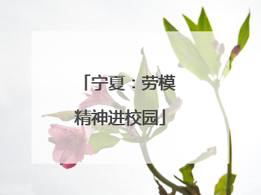 宁夏：劳模精神进校园