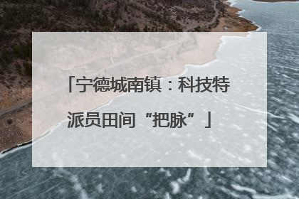 宁德城南镇：科技特派员田间“把脉”