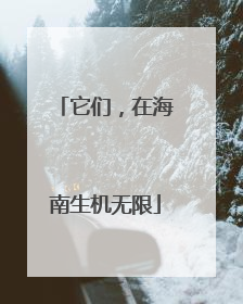 它们，在海南生机无限