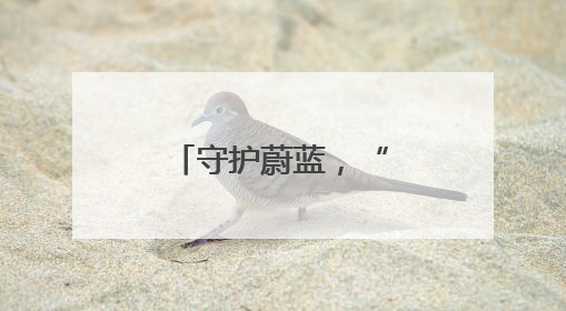 守护蔚蓝，“海”好有你