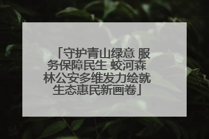 守护青山绿意 服务保障民生 蛟河森林公安多维发力绘就生态惠民新画卷