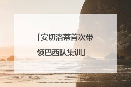 安切洛蒂首次带领巴西队集训