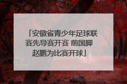 安徽省青少年足球联赛先导赛开赛 前国脚赵鹏为比赛开球