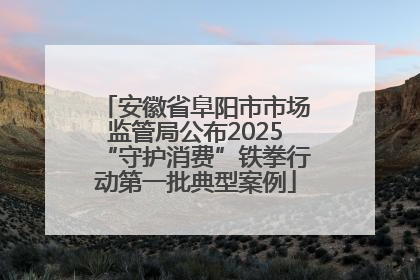 安徽省阜阳市市场监管局公布2025“守护消费”铁拳行动第一批典型案例