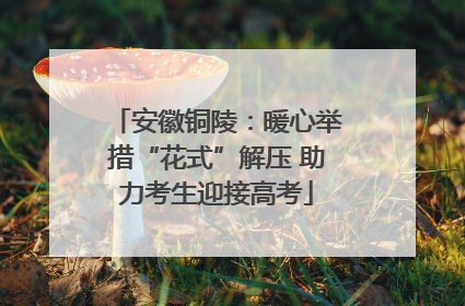 安徽铜陵：暖心举措“花式”解压 助力考生迎接高考