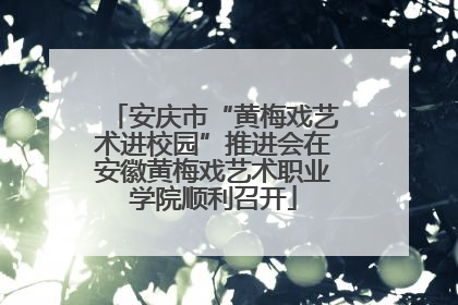 安庆市“黄梅戏艺术进校园”推进会在安徽黄梅戏艺术职业学院顺利召开
