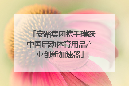 安踏集团携手璞跃中国启动体育用品产业创新加速器