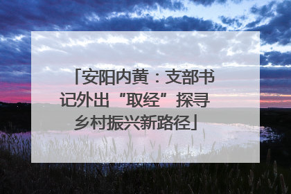 安阳内黄：支部书记外出“取经”探寻乡村振兴新路径