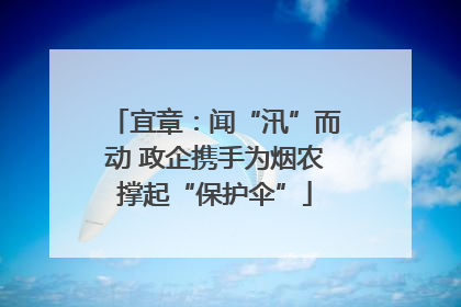 宜章：闻“汛”而动 政企携手为烟农撑起“保护伞”