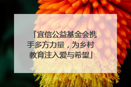 宜信公益基金会携手多方力量，为乡村教育注入爱与希望
