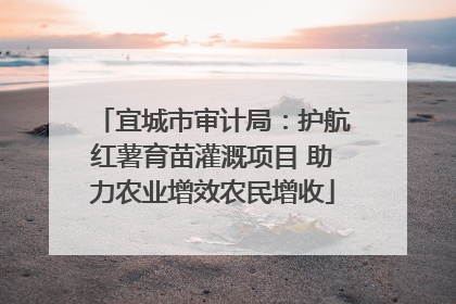 宜城市审计局：护航红薯育苗灌溉项目 助力农业增效农民增收