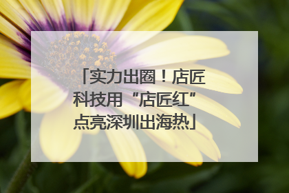实力出圈！店匠科技用“店匠红”点亮深圳出海热