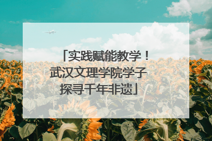 实践赋能教学！武汉文理学院学子探寻千年非遗