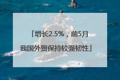 增长2.5%，前5月我国外贸保持较强韧性