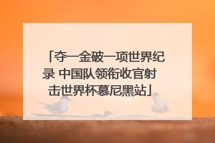 夺一金破一项世界纪录 中国队领衔收官射击世界杯慕尼黑站