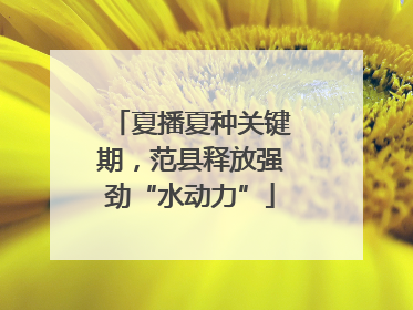 夏播夏种关键期，范县释放强劲“水动力”
