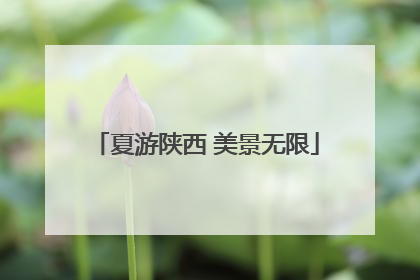 夏游陕西 美景无限
