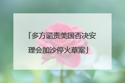 多方谴责美国否决安理会加沙停火草案
