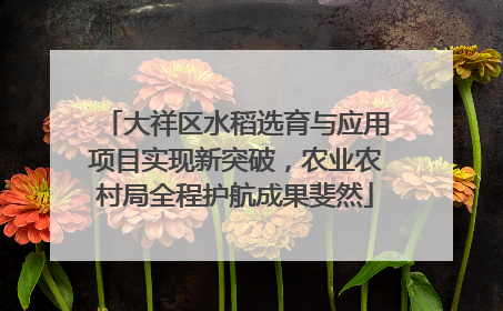 大祥区水稻选育与应用项目实现新突破，农业农村局全程护航成果斐然