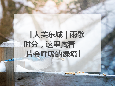大美东城｜雨歇时分，这里藏着一片会呼吸的绿境