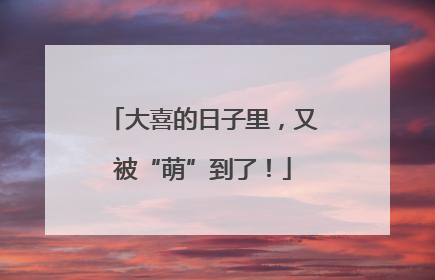 大喜的日子里，又被“萌”到了！