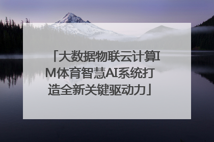 大数据物联云计算IM体育智慧AI系统打造全新关键驱动力