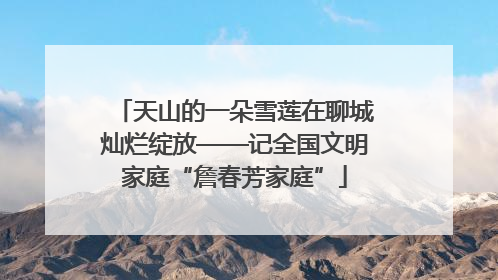 天山的一朵雪莲在聊城灿烂绽放——记全国文明家庭“詹春芳家庭”