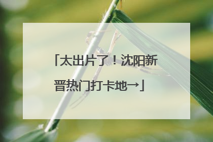 太出片了！沈阳新晋热门打卡地→