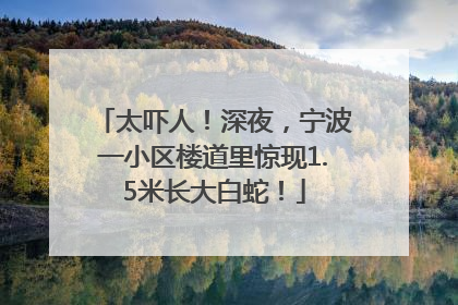 太吓人！深夜，宁波一小区楼道里惊现1.5米长大白蛇！