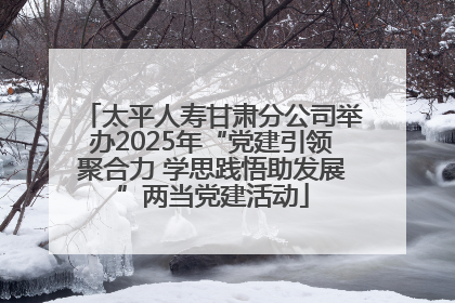 太平人寿甘肃分公司举办2025年“党建引领聚合力 学思践悟助发展”两当党建活动