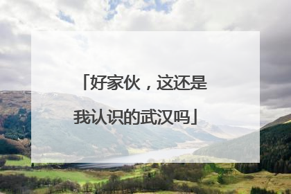 好家伙，这还是我认识的武汉吗